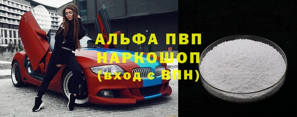 гашик Арсеньев