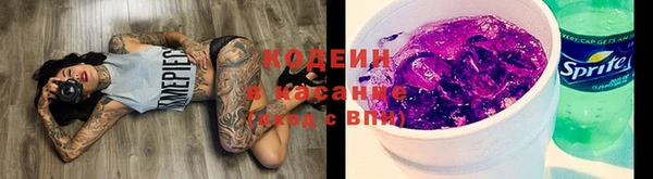 гашик Арсеньев