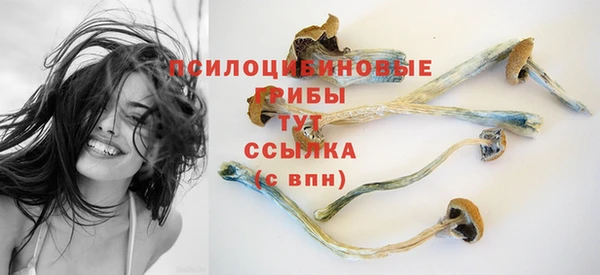 гашик Арсеньев