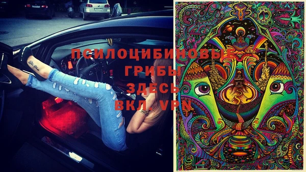 не бодяженный Армянск