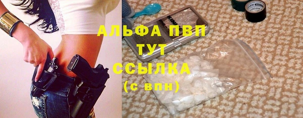 гашик Арсеньев