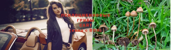 марки nbome Аркадак