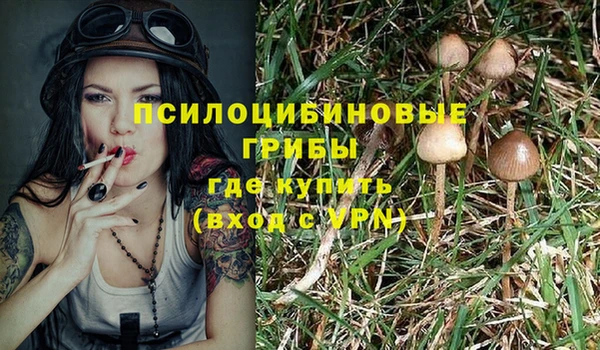 гашик Арсеньев