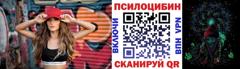 Купить закладки  Волхов  Псилоцибиновые грибы MAGIC MUSHROOMS 